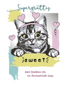 2-osainen nuorten onnittelu ruotsinkielinen