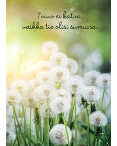 Postikortti Mieli ry