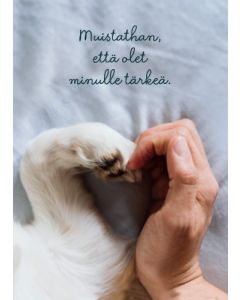 Postikortti Mieli ry