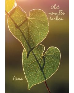 2-osainen kortti Mieli ry