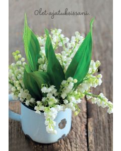 2-osainen kortti Mieli ry