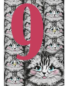 Postikortti onnittelu 9v