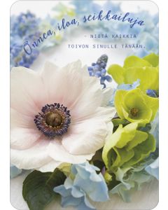 Postikortti onnittelu Ilona Pietiläinen