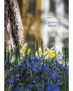 Postikortti kevät
