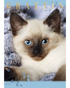 Postikortti kissa ruotsinkielinen