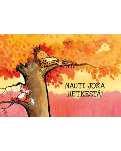 2-osainen kortti Kamala luonto