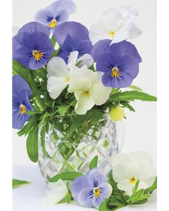 2-osainen kortti Jorma Jämsén