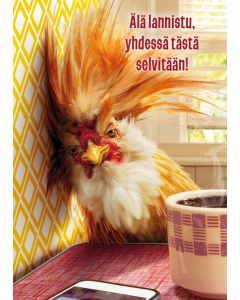 Postikortti hupi Avanti