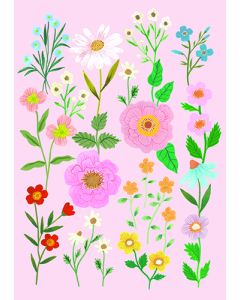 Postikortti Iisa Nuorttila