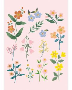 Postikortti Iisa Nuorttila