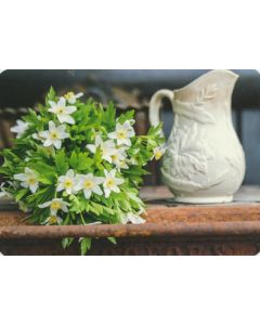 1-os kortti Ilona Pietiläinen