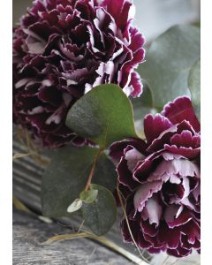 1-os kortti Johanna Björkman