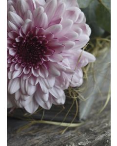 1-os kortti Johanna Björkman