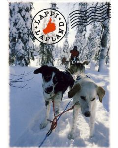 1-os kortti Lappi talvi