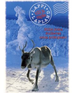 1-os kortti Lappi talvi