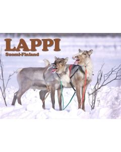 1-os kortti Lappi talvi