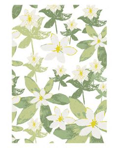 1-os kortti Merja Palin