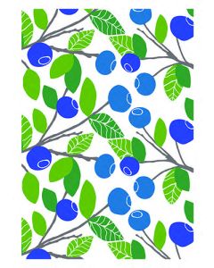 1-os kortti Merja Palin