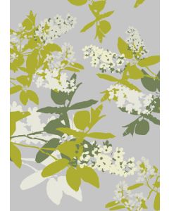 1-os kortti Merja Palin