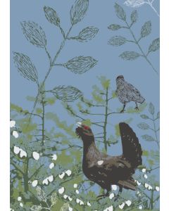 1-os kortti Merja Palin