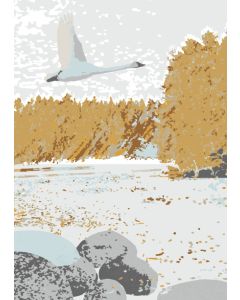 1-os kortti Merja Palin