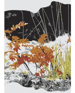 1-os kortti Merja Palin