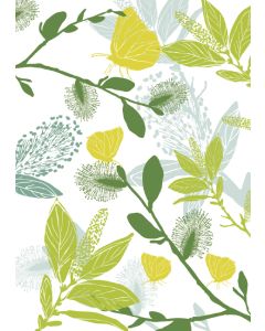 1-os kortti Merja Palin