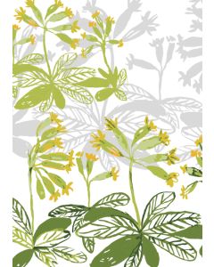 1-os kortti Merja Palin