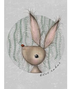 Postikortti MuttuRalla