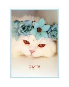 Postikortti kissa ruotsinkielinen