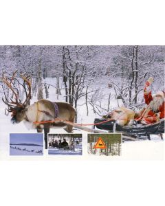 1-os kortti Poro talvi