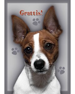 Postikortti koira ruotsinkielinen