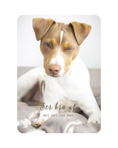 1-os kortti R Ilona Pietiläinen