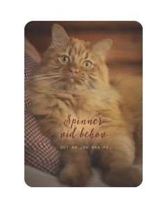 1-os kortti R Ilona Pietiläinen