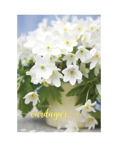 1-os kortti R kevät