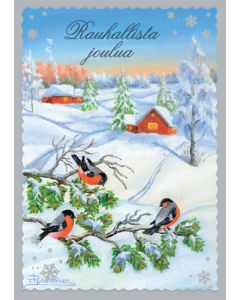 Joulukortti Timo Puheloinen