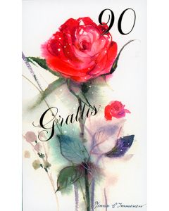 2-os vuosikortti 90v Minna Immonen ruotsinkielinen