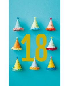 2-os vuosikortti 18v