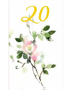 2-osainen vuosikortti 20v Minna Immonen