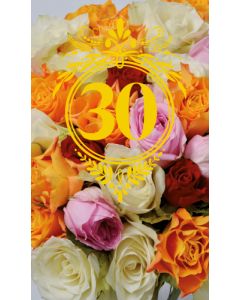 2-os vuosikortti 30v