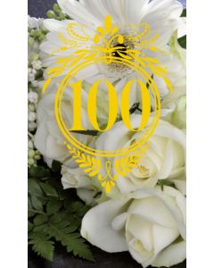 2-os vuosikortti 100v