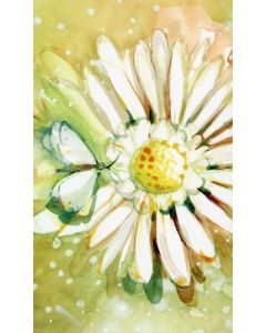 2-osainen eläkekortti Minna Immonen