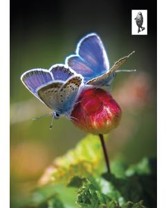 1-os kortti Suomen Luonnonsuojeluliitto