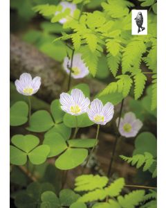 1-os kortti Suomen Luonnonsuojeluliitto