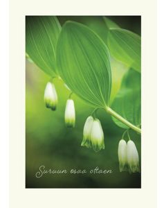 Suruadressi Suomen Punainen Risti