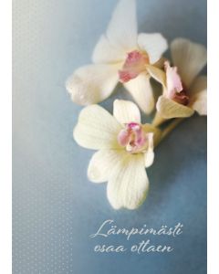 Suruadressi Suomen Punainen Risti