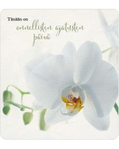 2-osainen neliökortti Anna-Mari West