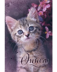 1-os eläinkortti kissa