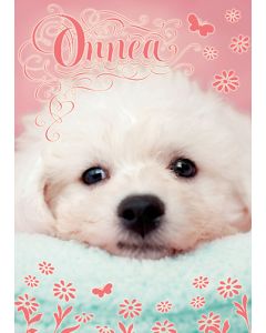 1-os eläinkortti koira