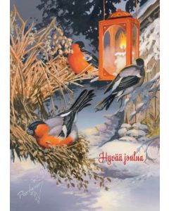 Joulukortti Raimo Partanen